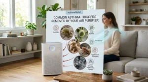Infographic displaying common asthma triggers like dust mites, mold spores, and smoke that air purifiers remove.
